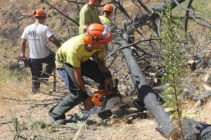 2613396ca922d878fd97d3919c32a445_L