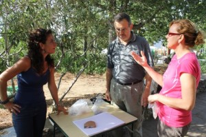 f90f98ff571431924e36ad919a62d7c0_L