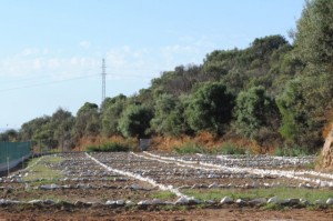 5287d60029615676bcf4267b7203b28d_L