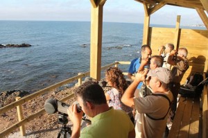 652f9276ebee1475ec5edaccf5b635d6_L