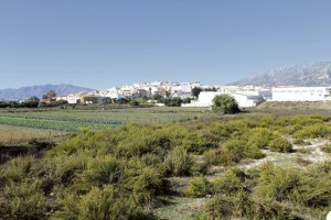 92b2a8a968cc015b515094d1838167dc_L