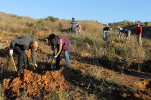 de9732a7147142174baba8b4293e386b_L