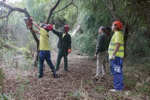 09d7584cad6726ef025d855c4175d7be_L