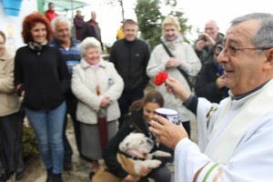 11d2acd02821c10d2fc8da233fa419db_L