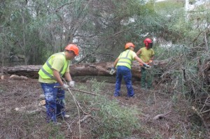 491b2b09bdd54772610b19365cacb831_L