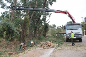 8c2e8a8a31b434f53c0c1fb11aaaeb3e_L