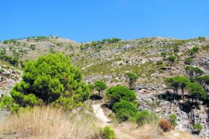 cbcaee40e229bf61b0a8685655293b0f_L