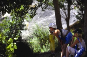 1d83b87ab11ee8b7cf04cab61863cd8d_L