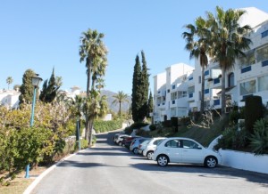 97baa88714808c64bf94493d0701fc74_L