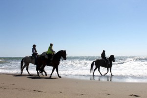 a8cbebe9735b3e01029a3ad1b2ce1a8e_L