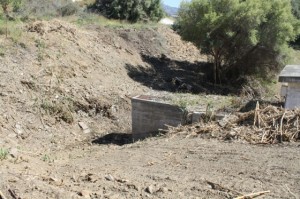 f2e24a2c8bc62f9b2c72ef19152c5821_L