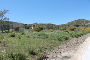 f74bf165c2dcb6ef0893c6a138fe3eab_L