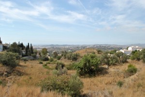 9c5a94e5ad1d04267ccac40d54b71d7c_L