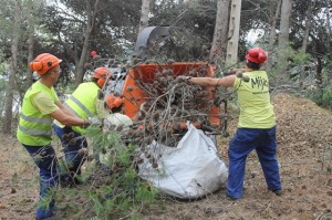 8915b4e8038be0e755da33617204e17f_L